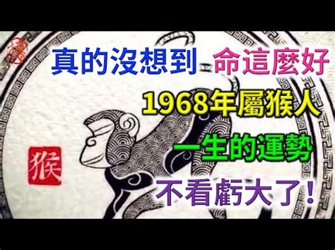 1968屬|【1968屬什麼】1968屬什麼？解密68年生肖猴運勢與命理